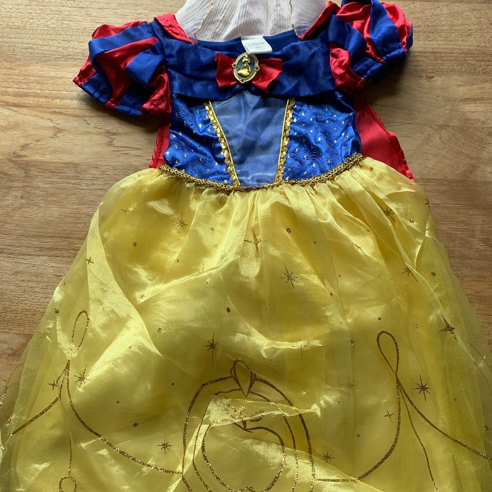 Sleeping Beauty Disney Costume - Bought for $50 at the Real Disney Store in L.A.
